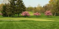 golf article