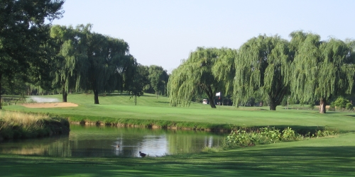 Illinois Golf Courses That Offer Golf Lessons