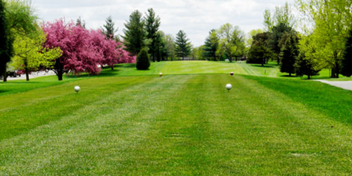 Bear Creek Golf Course