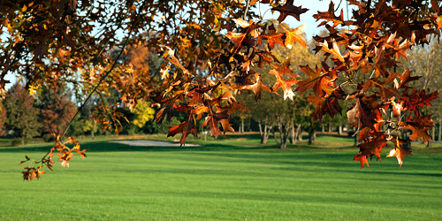Foxchase Golf Club
