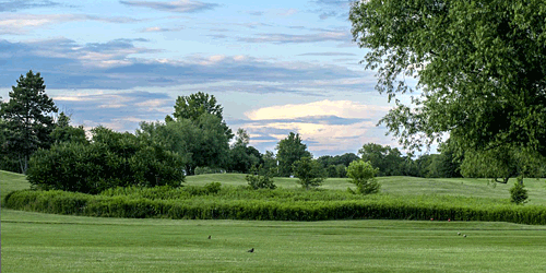 Limerick Golf Club