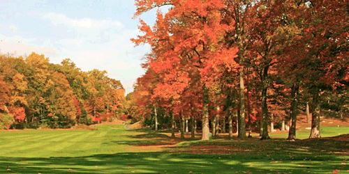 Milbrook Club