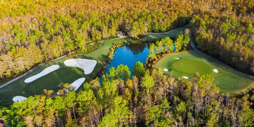 The Club at Olde Cypress 