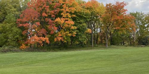 Whitnall Park Golf Course