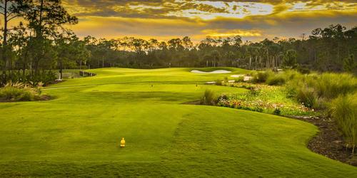 The Plantation Golf & Country Club