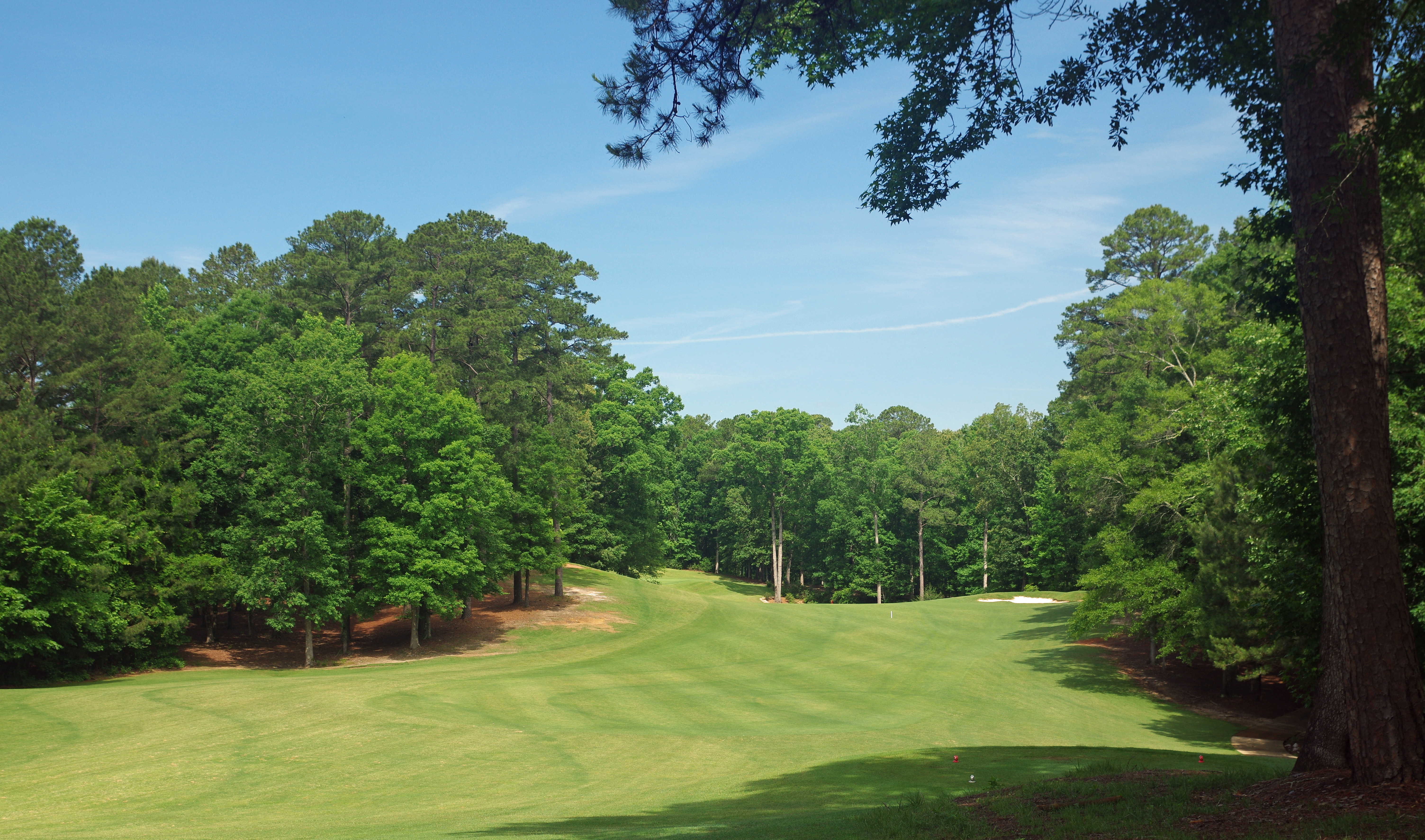 Dancing Rabbit Golf Club - Azaleas